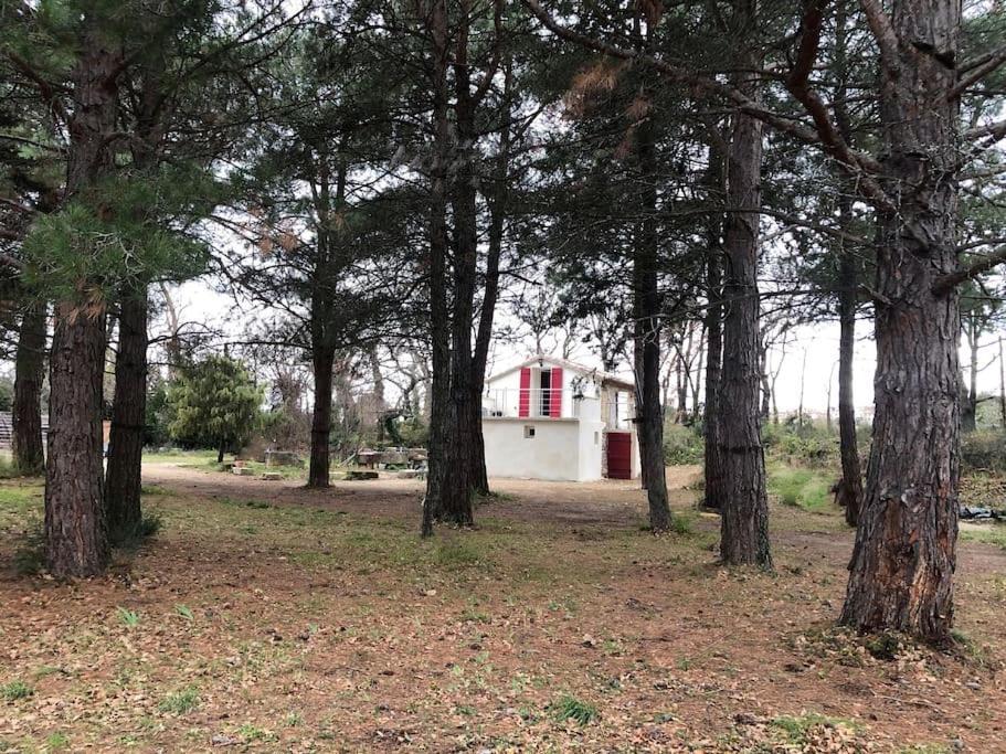 Le Cabanon De Vally Hébergement de vacances Caromb